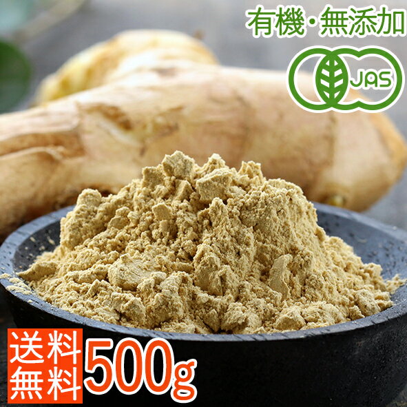 ＜送料無料＞【たっぷり大容量 500g！】＜オーガニック＞生姜パウダー　業務用500g（有機JAS しょうが 粉末）