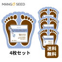 【正規品】MJ care プレミアムフットエッセンスパック4枚セット 保湿 足 クリーム ツヤ うるおい 韓国 コスメ Kビューティー デイリーケア プチプラ ...