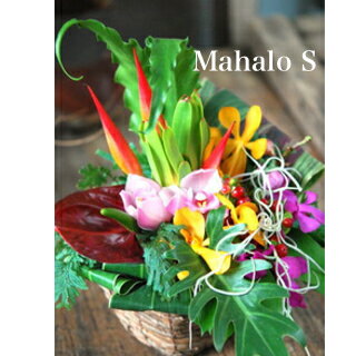 バスケット（フラワーアレンジメント） ハワイアンバスケットフラワーアレンジ　Hawaiian Basket Flower "Mahalo!"S