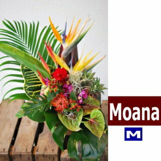 バスケット（フラワーアレンジメント） ハワイアンバスケットフラワーアレンジ　Hawaiian Basket Flower "Moana"M