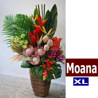 バスケット（フラワーアレンジメント） ハワイアンバスケットフラワーアレンジ　Hawaiian Basket Flower "Moana"XL