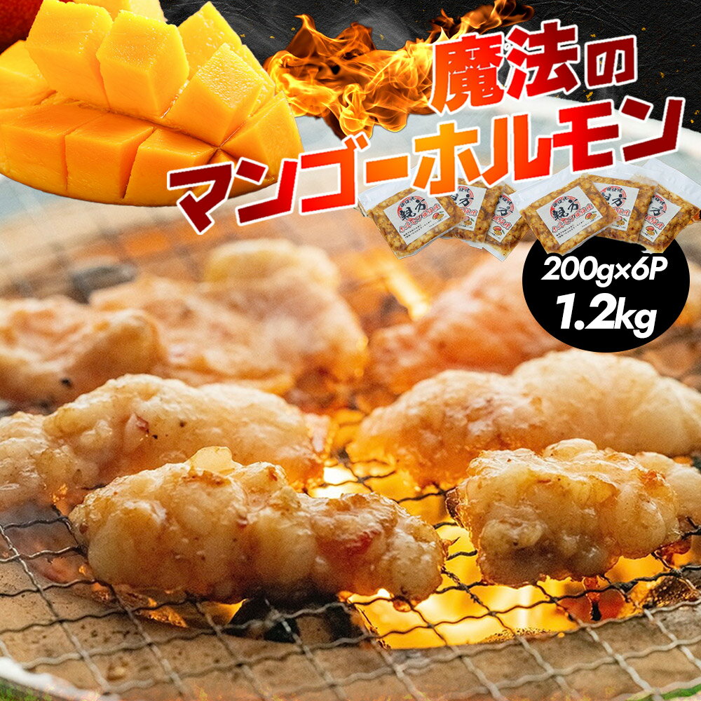 【送料無料】魔法のマンゴーホルモン 1,2kg（200g×6P）