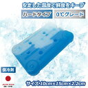 【エントリーでPT10】 【日祝も発送】保冷剤 日本製 保冷 アイスパック 蓄冷剤 お弁当 保冷バッグ 0℃グレード ハードケースタイプ 長持ち コンパクト 繰り返し使える クーラーボックス アウトドア レジャー 薄型 長方形 ひんやり