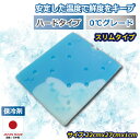 【エントリーでPT10】 【日祝も発送】保冷剤 日本製 保冷 アイスパック 蓄冷剤 27cm お弁当 保冷バッグ 0℃グレード 大きいサイズ ハードケースタイプ 長持ち コンパクト 繰り返し使える クーラーボックス アウトドア レジャー 薄型 長方形 ひんやり