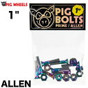 スケボー ボルト スケートボード PIG WHEEL ピッグウィール 1インチ PRIME ALLEN 六角穴 ネジ トラック専用 ナット