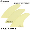 V[g{[hptB CAPTAIN FIN CO. LvetB CHIPPA WILSON BONES `bpEB\ {[Y gCtB FCS FUTURES. 3tB XX^[ T[tB