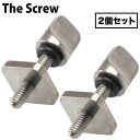 フィンボルト ネジ BOX FIN 固定用スクリュー THE SCREW 2個セット センターフィン シングルフィン ロングボード用 便利グッズ サーフィン 【あす楽対応】