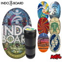 INDO BOARD ɥܡ Х󥹥ܡ ȥ졼˥  ư 顼 DVDΤ3å ɥܡɥե Ρܡ δȥ졼˥  եåȥͥƱԲġ