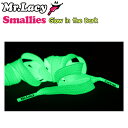 靴ひも シューレース スニーカー用 Mr.Lacy ミスターレーシー Smallies Glow In The Dark スモーリーズグロウインザダーク 約90cm 平ひも くつひも 靴紐