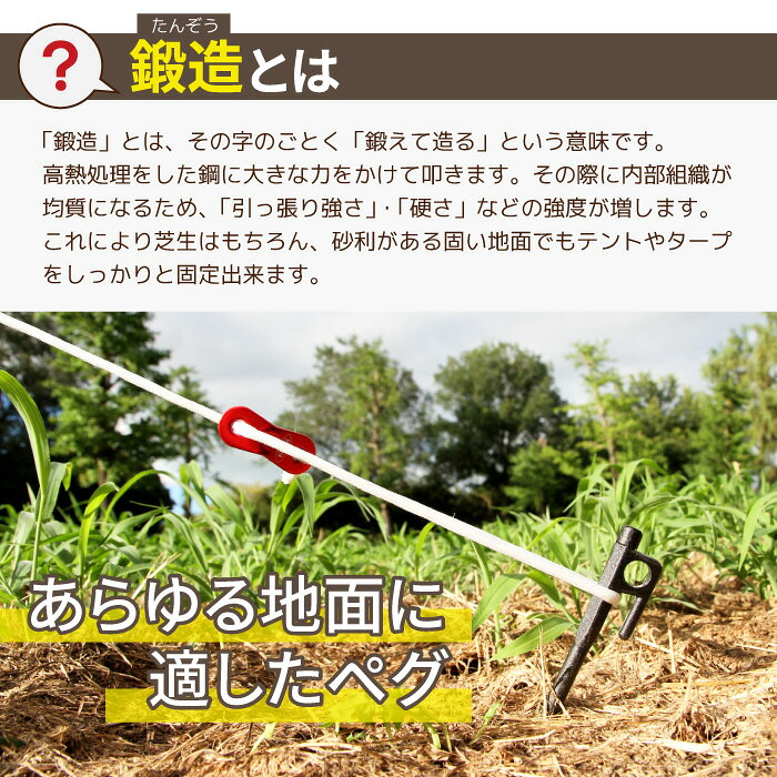 鍛造ペグ 20cm 10本セット MOSCO モスコ テント タープ アウトドア キャンプ 便利グッズ 【あす楽対応】【ゆうパケット対応】通販格安セール情報 楽天 通販