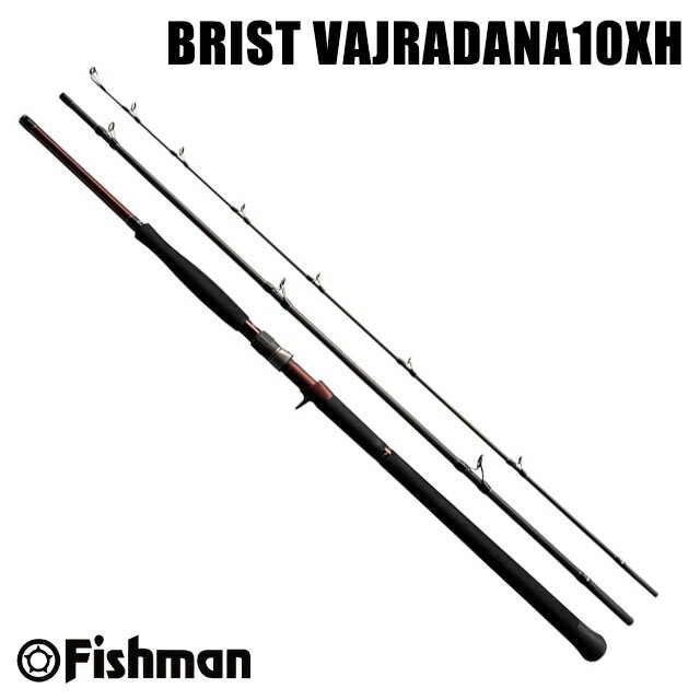 フィッシュマン ブリスト バジュラダーナ 10XH
