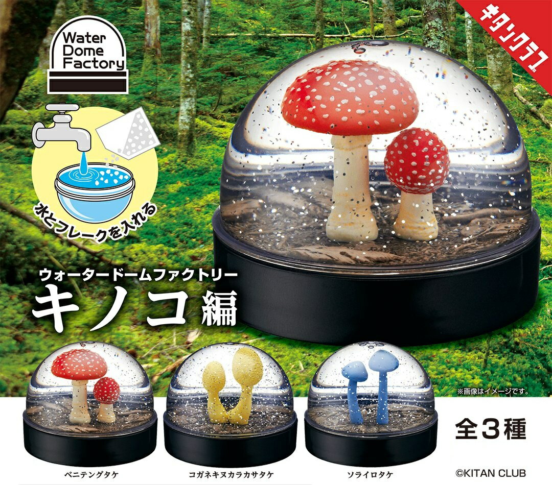 WaterDomeFactory キノコ編 全3種コンプリートセット