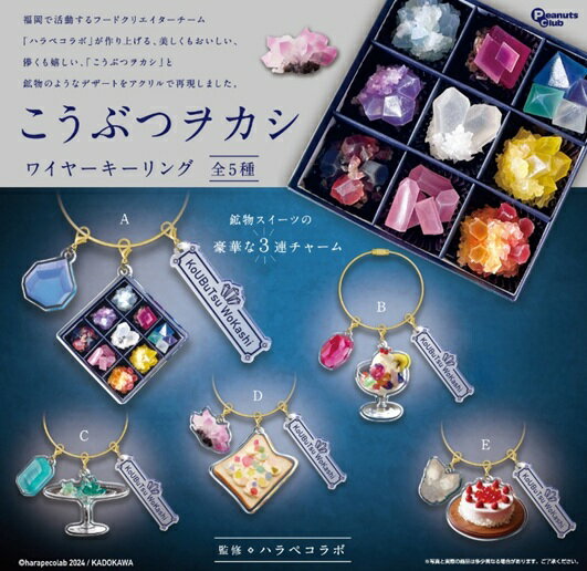 こうぶつヲカシ ワイヤーキーリング 全5種コンプリートセット