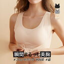 \7/12 09:59まで68%OFF/【 送料無料 】 ブラジャー ナイトブラ レディースブラジャー 育乳 フロントホック バストアップ 夜用 大きいサイズ ...