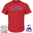 大谷翔平 tシャツ 大谷翔平グッズ 大谷翔平 ユニフォーム 大谷翔平 エンゼルス 大谷翔平 二刀流 大谷翔平 カード 大谷翔平 エンゼルス キャップ 大谷翔平 タオル 大谷翔平 二刀流 ファイターズ・5年間の軌跡 大谷翔平 挑戦 発送無料