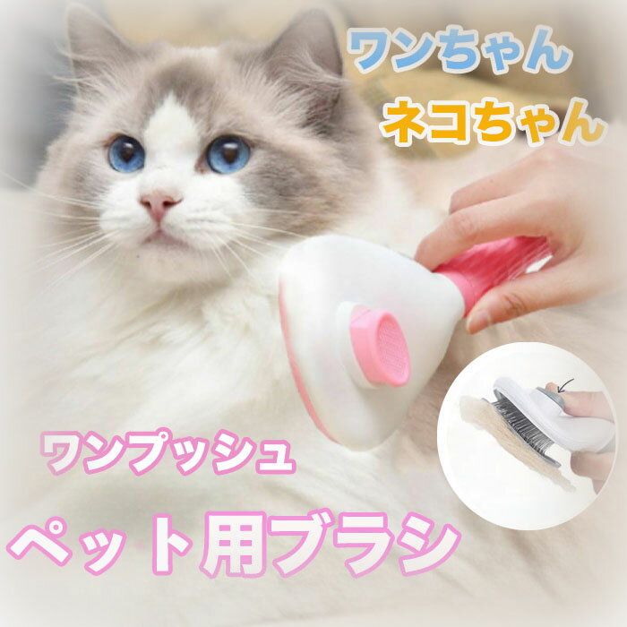 ӥ塼ץ쥼ȡ۸ ǭ ڥåȥ֥饷 ڥå ֥饷 ǭ֥饷 Ӽ   ȥߥ  ͤ ֥饷 ...