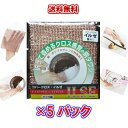 【クリックポスト】ドイツ製銅タワシ コパークロスイルゼ2枚入り 5パック【即日発送】送料無料
