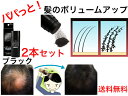 髪のボリュームアップ ステルスパウダー 25g ブラック 2本セット【送料無料】【増毛パウダー 白髪かくし 隠し 毛量アップ 薄毛かくし カモフラージュ 髪の毛...