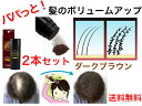 髪のボリュームアップ ステルスパウダー 25g ダークブラウン 2本セット【送料無料】【増毛パウダー 白髪かくし 隠し 毛量アップ 薄毛かくし カモフラージュ ...