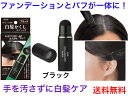 白髪かくしスティック ブラック【送料無料】【ジアミンフリー ノンジアミン パフ 簡単 白髪染め 携帯用 白髪ケア コンパクトタイプ ファンデーションタイプ 生え際 白髪隠し プチプラコスメ デパコス ドラッグストアコスメ 部分染め 生え際 韓国コスメ 黒色