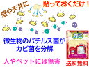 東京企画販売 貼るだけのカビ予防 バイオ・キーパー TKTEN-03 【即日発送】【送料無料】【浴室 下駄箱 押入 洗面所 トイレ 防カビ 食中毒予防 人 ペッ...
