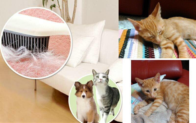 ベルク　バケツ　グレー 8SB　本体