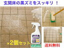 CH891アズマジック玄関床洗剤 2個セット【送料無料】【玄関 外壁 掃除 清掃 エントランス 入口 出口 駐車場 泥汚れ アズマ工業 ブラシ デッキブラシ 汚...