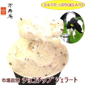 TV、雑誌で紹介!濃厚ミルクにチョコチップをたっぷり☆極上チョコチップジェラート