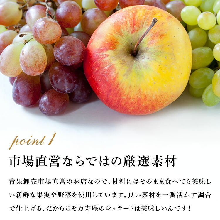 お子さま お子様 人気 チョコアイス 大カップ 市場直営 甘栗専門店 万寿庵 アイスクリーム ジェラート ☆TVで紹介★ チョコチップ 子ども 六甲山麓牧場ミルク使用 風味豊か 卵不使用