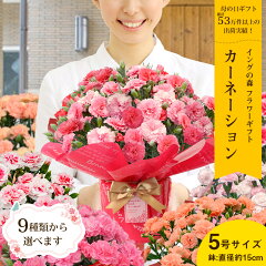 https://thumbnail.image.rakuten.co.jp/@0_mall/mankai/cabinet/gift/2024mom/2024mom_a1_02.jpg