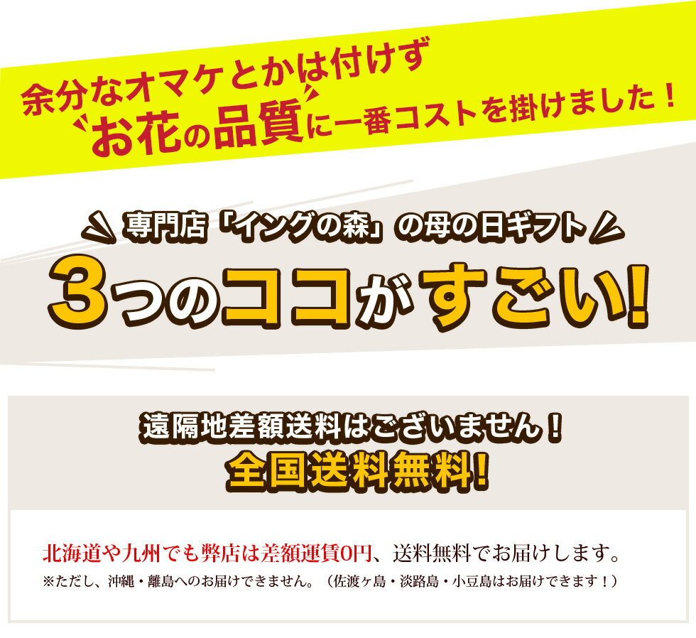 早割100円引 更にポイント2倍(4/15まで) 母の日 2024 カーネーション 9種類から選べるカーネーション5号サイズ 鉢植えこだわりラッピング 全国一律 送料無料　プレゼント ギフト