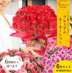 https://thumbnail.image.rakuten.co.jp/@0_mall/mankai/cabinet/gift/2024mom/2024mom_b1_02.jpg