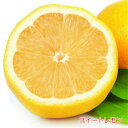スイートレモン　4.5号(直径13.5cm)ポット 常緑低木 柑橘系