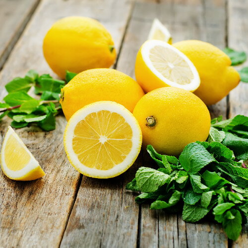 マイヤーレモン4.5号(直径13.5cm) ポット苗　ベランダでも果樹園 果樹苗 柑橘系のサムネイル