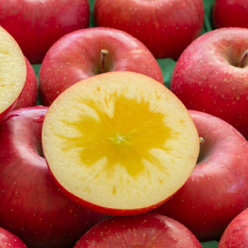 果樹苗 リンゴ 苗木 りんご 蜜入りアップル ハニーアップル 1年生接木 4.5号 直径13.5cm ポット苗 果樹苗木 落葉樹