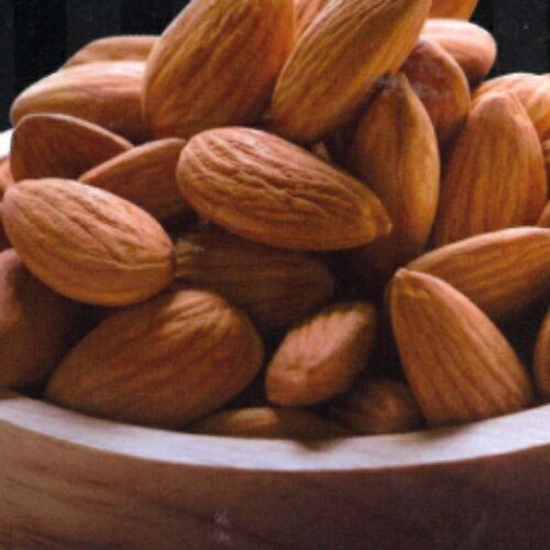 果樹苗 花木 アーモンド 苗木 アーモンド ホールズハーディー 4.5号鉢 (直径13.5cm) 2年生苗 接木 送料無料 果樹苗木 落葉樹 ナッツ