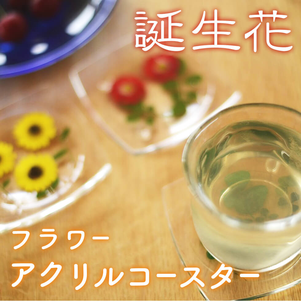 母の日 ギフト プレゼント 誕生花フラワーアクリルコースター　※全国送料無料！ネコポス ポスト投函
