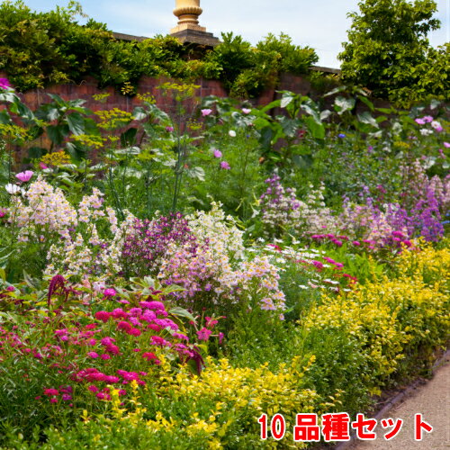 イングの森 オススメ花苗セット 10品種 花苗 苗 ＊全国送