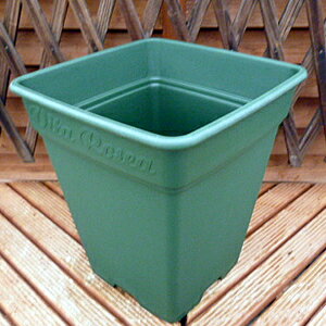 apple ロゼアスクエア 260型 グリーン アップルウエアー 鉢