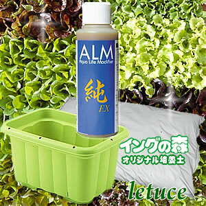 ☆レタスもぎ取り畑有機栽培セットスターター セットのサムネイル