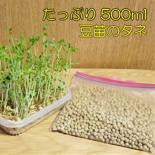 豆苗のタネ 約500ml 業務用小分け これで発芽16～17回分、収穫後も再発芽するから30回以上は収穫出来ます 日本郵便またはネコポス便なら全国送料250円！野菜 種 ミニ野菜