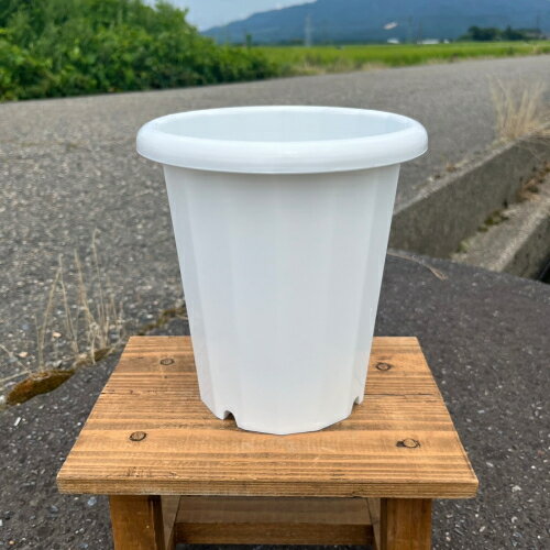 4号~6号 - 長鉢L　ホワイト 6号 深型ベーシックポット 直径18cm × 高さ19cm 1.7リットル　ロングサイズ
