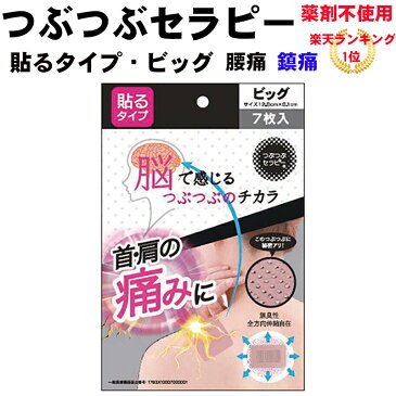 つぶつぶセラピー 貼るタイプ・ビッグ 一般医療機器 腰痛 首・肩の痛み 筋肉痛 腱鞘炎 薬剤不使用 身体にやさしい鎮痛製品 妊娠中の腰痛 妊婦 かぶれにくい 楽天ランキング1位 ※湿布ではありません 母の日 ギフト