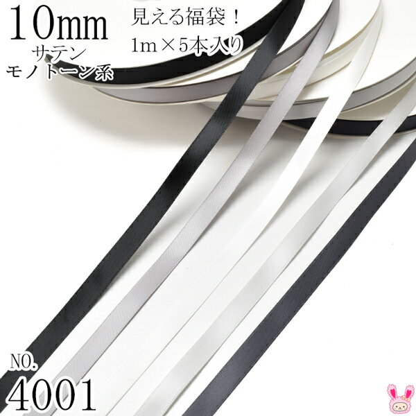 10mm サテンリボンアソート セット 1mx5本 030.012.029.007.077 黒・白・モノトーン系（4001）