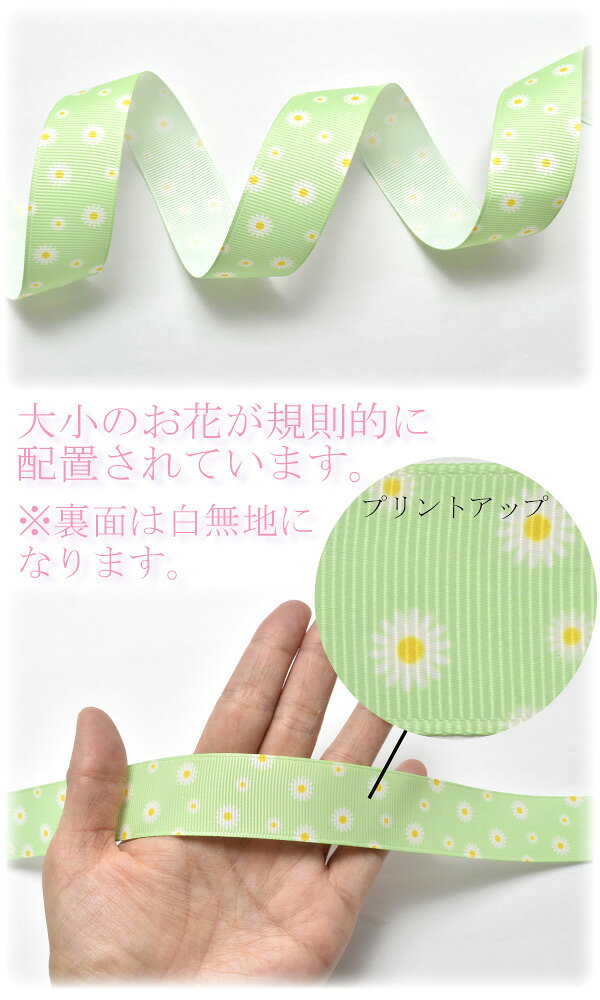 25mm　プリントリボン　マーガレットリボン　2m　「在庫限り」