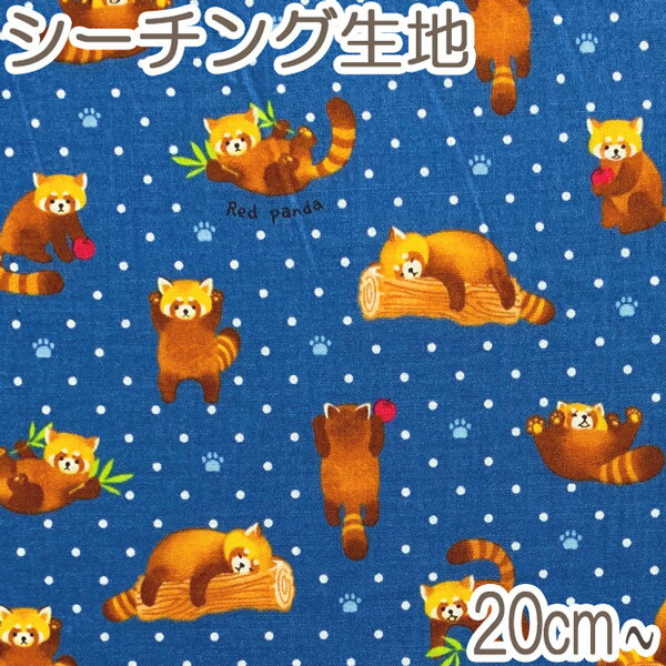 [AB7]　コスモ　レッサーパンダと水玉模様　Eブルー系　10cm単位　切り売り　AP-21408-2　シーチング生地　(92)