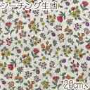 イブキ　秋の小花柄　Bクリーム系　10cm単位　切り売り　N-99096-2　シーチング生地　(25)　★