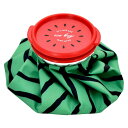 スイカ アイスバッグ (S) 氷嚢 氷のう GREEN 約Φ140 パッケージ /W105×D25×H160mm A689GR