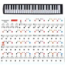 XPデザイン ピアノ キーボード ステッカー 楽譜 譜面 音符 シール 88/61/49/37 鍵盤 (フルカラー)