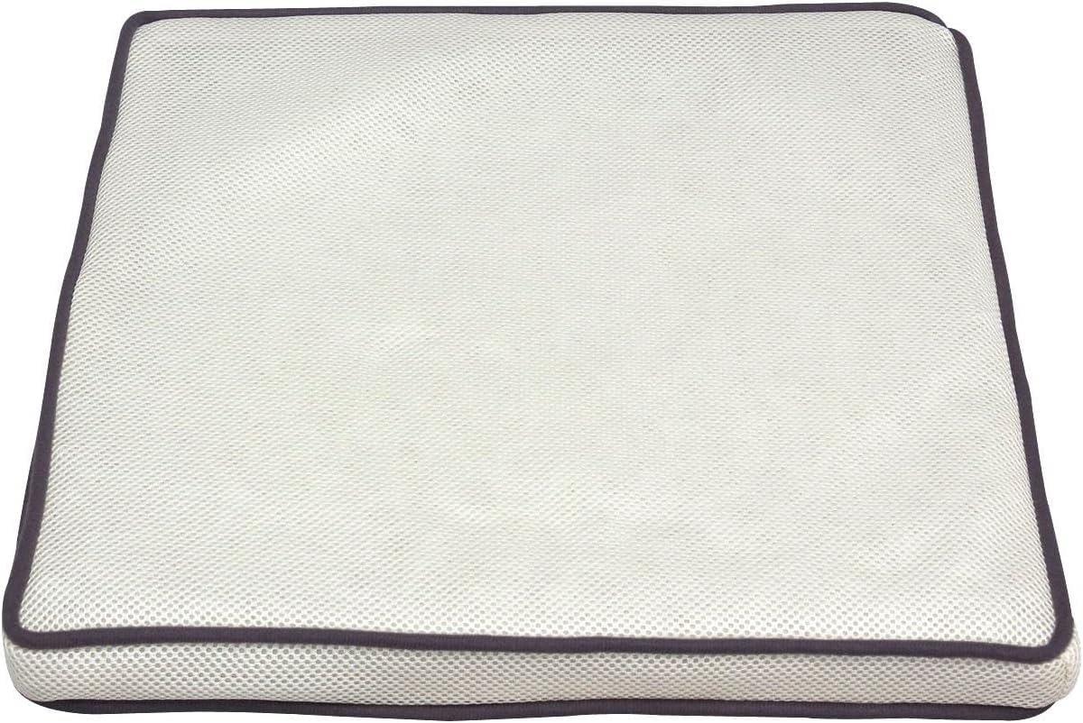 アイリスオーヤマ(IRIS OHYAMA) クッション エアリーシートクッション 抗菌 防臭 丸ごと洗える 長時間..